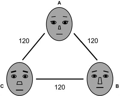 Memory matching features bias the ensemble perception of facial identity